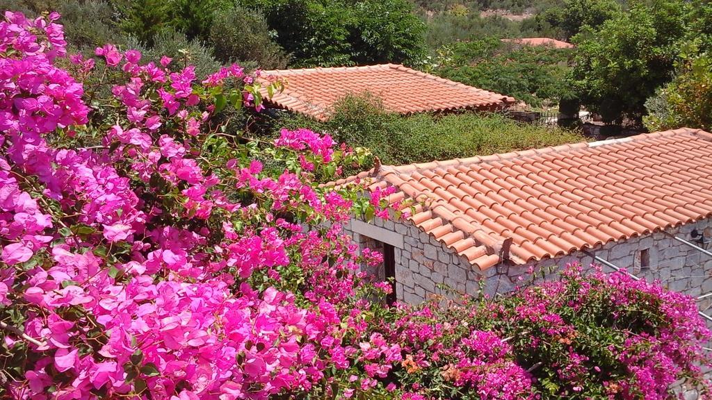 Sophia Mina Green Villa Dış mekan fotoğraf