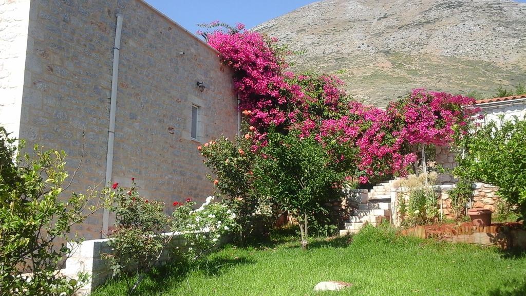 Sophia Mina Green Villa Dış mekan fotoğraf