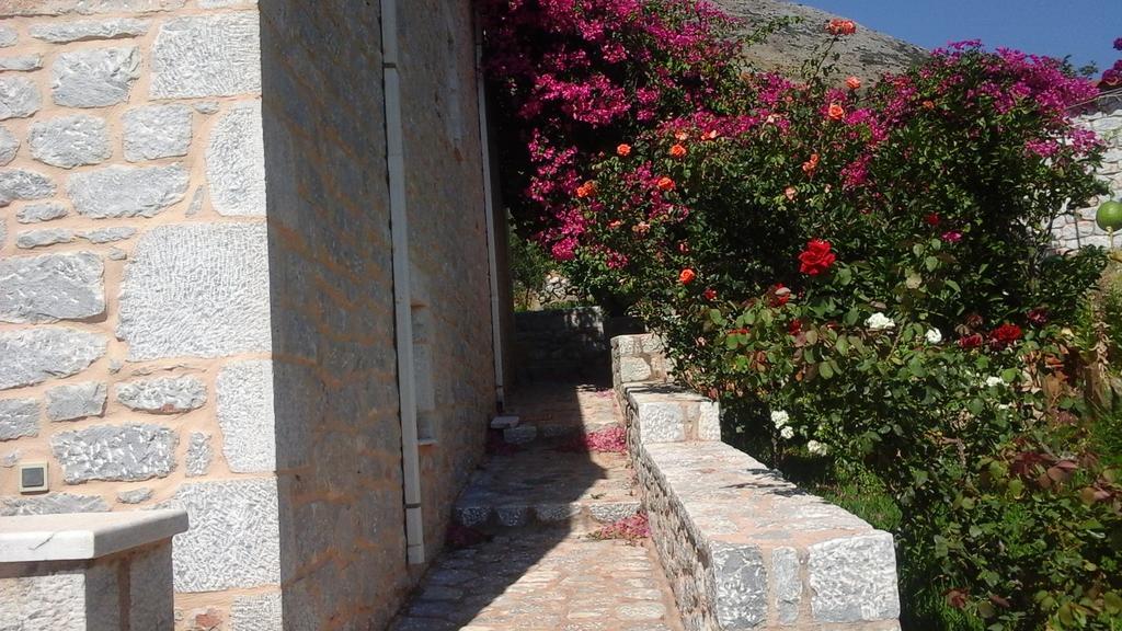 Sophia Mina Green Villa Dış mekan fotoğraf